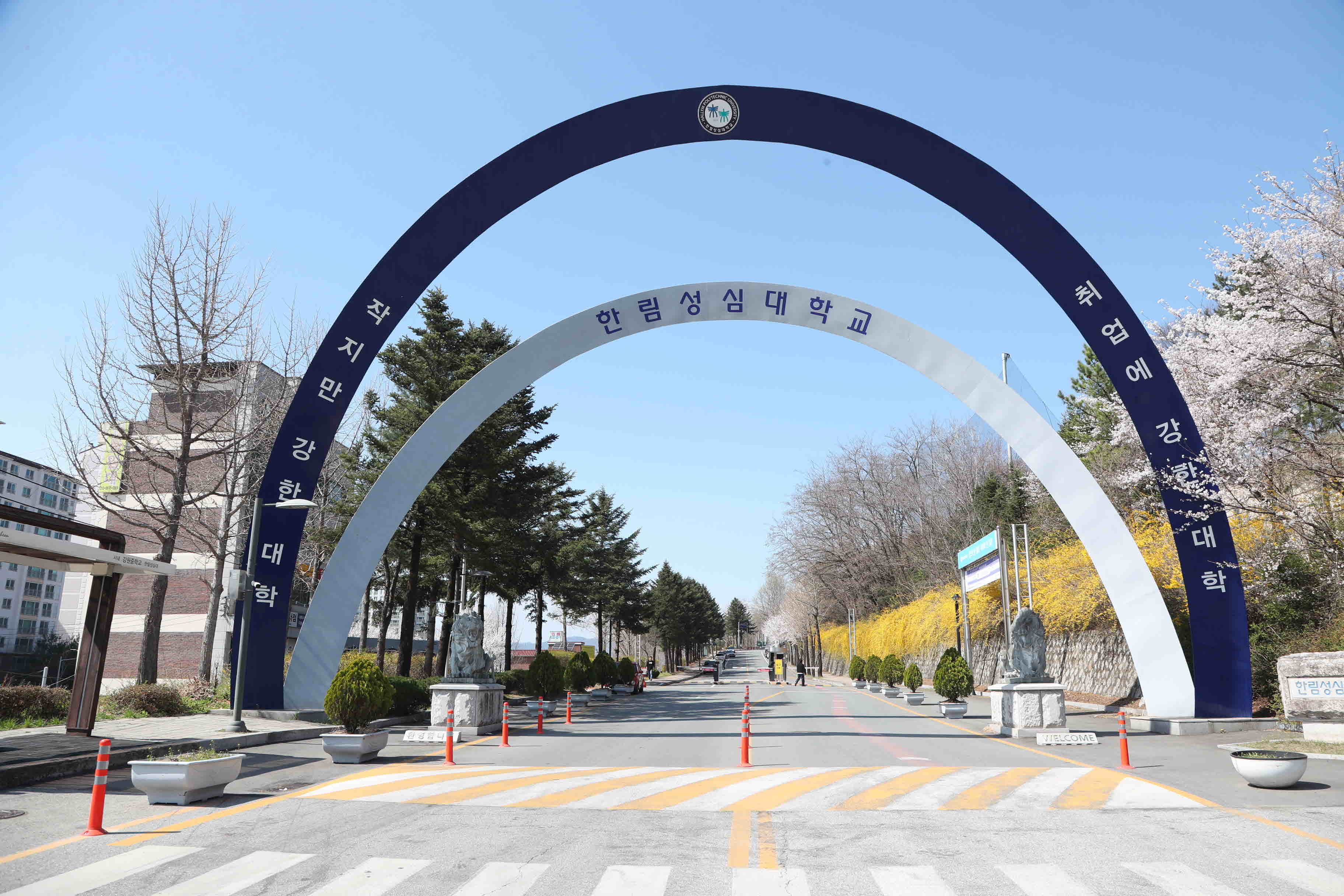 2025년 한림성심대학교의 봄