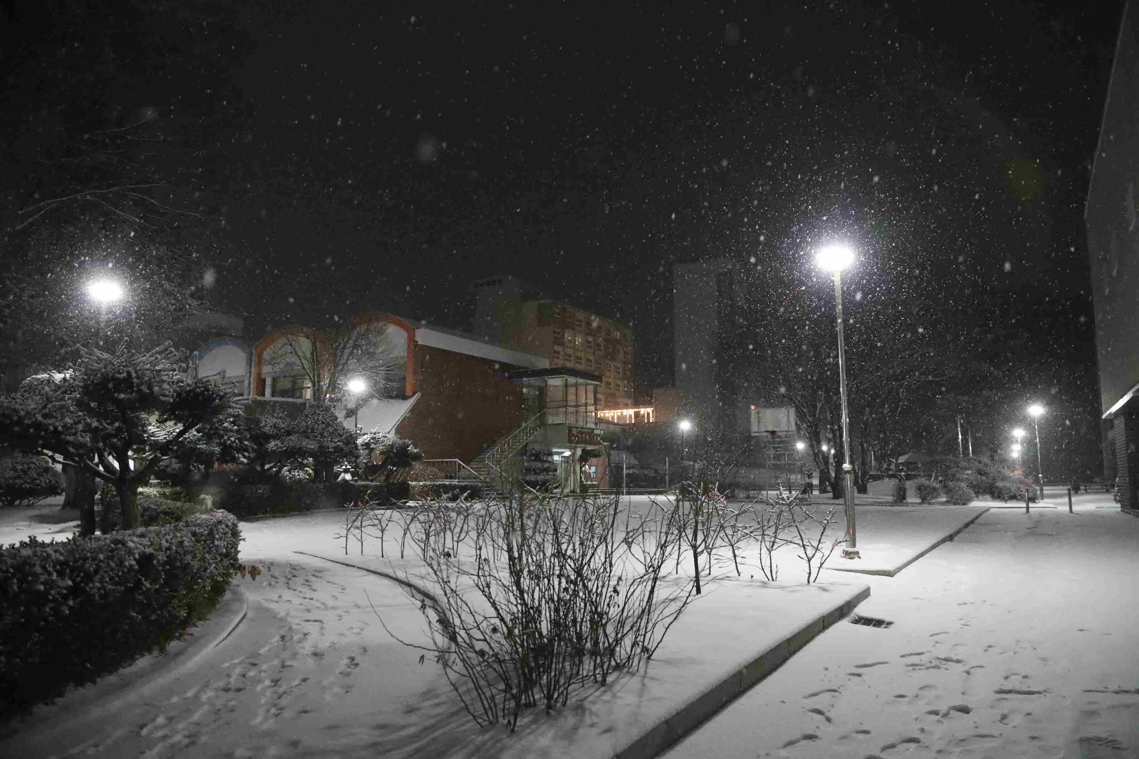 2025년 한림성심대학교의 겨울 모습